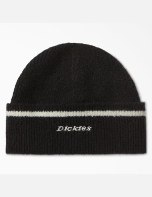 Chapeaux Dickies Chalkville Noir | 751VBTRQL