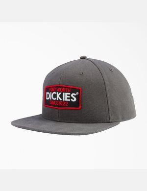 Chapeaux Dickies Logo Patch Plates Bill Grise | 063LBRGKW