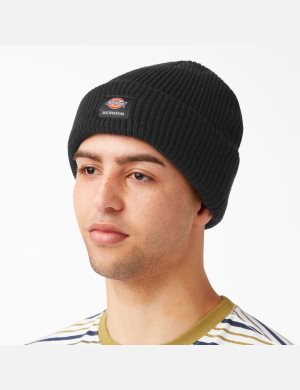 Chapeaux Dickies Skateboarding Cuffed Noir | 945FCYDMJ
