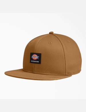 Chapeaux Dickies Skateboarding Plates Bill Marron | 514BEMDJW