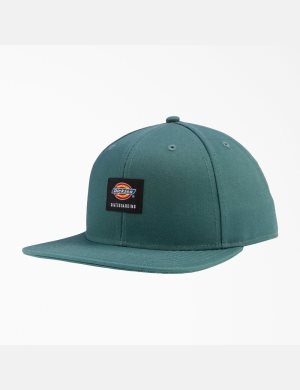 Chapeaux Dickies Skateboarding Plates Bill Vert | 687YKITWA