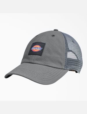 Chapeaux Dickies Tela Trucker Grise | 758EXDSPB