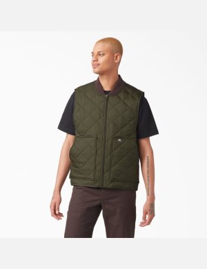 Gilet Dickies Vincent Alvarez Gobernador Vert | 402HTMQSK