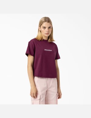 Hauts Courts Dickies Loretto Violette Bordeaux | 642RJUTED