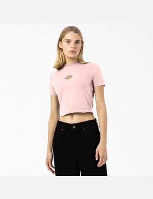 Hauts Courts Dickies Maple Valley Rose | 728BLYZAD