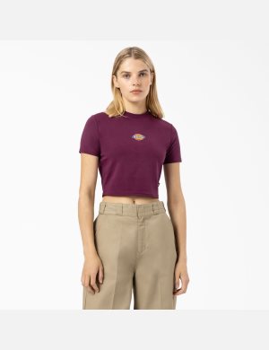 Hauts Courts Dickies Maple Valley Violette Bordeaux | 756LZWGDM