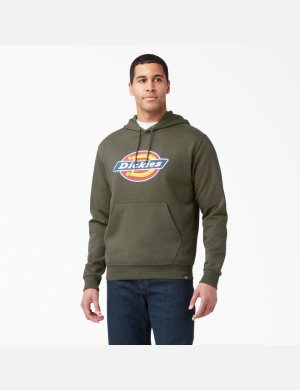 Sweat À Capuche Dickies Tri-Color Logo Fleece Vert | 172GVKXQN