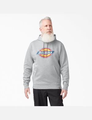 Sweat À Capuche Dickies Tri-Color Logo Fleece Grise | 427DRNLBM