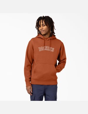 Sweat À Capuche Dickies Union Springs Logo Marron | 068JVQOUG