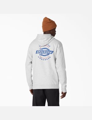 Sweat À Capuche Dickies Vintage Logo Graphique Grise | 235KITSEA