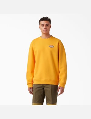 Sweatshirt Dickies Fleece Embroidered Chest Logo Jaune | 723GRHPQC