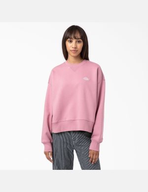 Sweatshirt Dickies Summerdale Multicolore | 741BDFXWZ