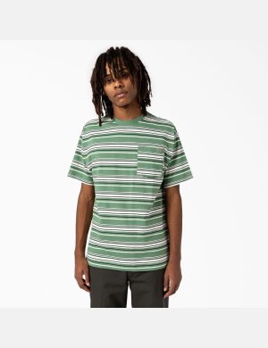 T Shirts Dickies Relaxed Fit Rayé Pocket Vert Foncé Stripes | 176NJZXIA