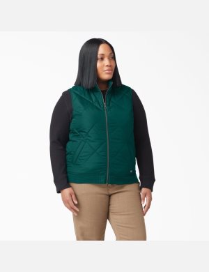 Vêtements D'extérieur Dickies Plus Matelassé Vert | 394MBRDZN